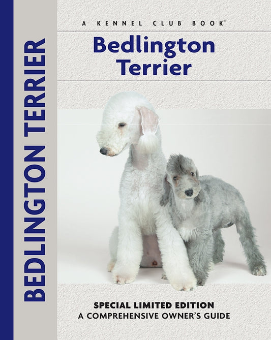 Bedlington Terrier