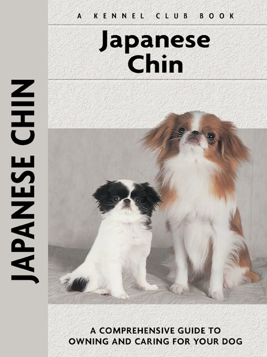 Japanese Chin