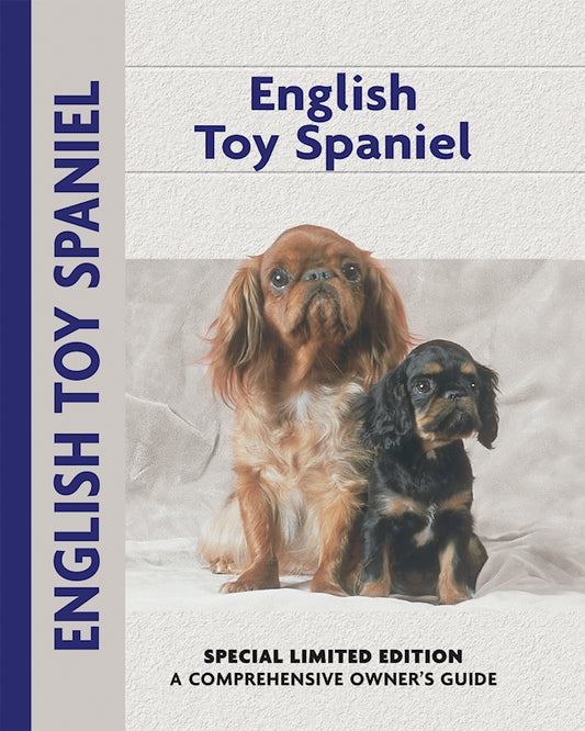 English Toy Spaniel