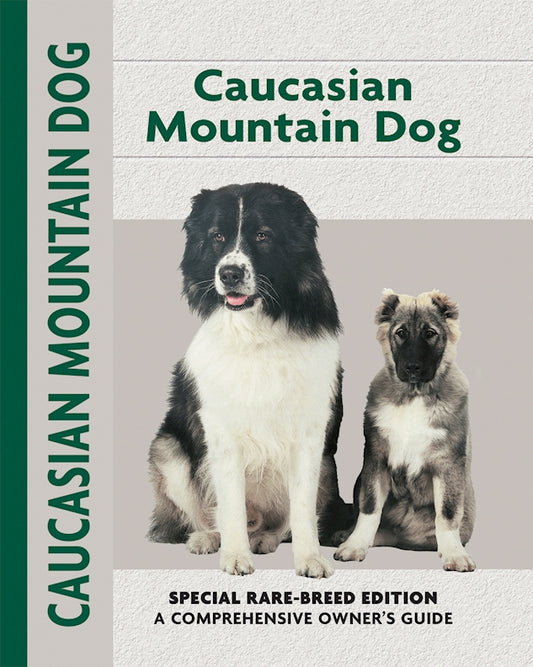 Caucasian Mountain Dog