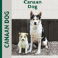 Canaan Dog