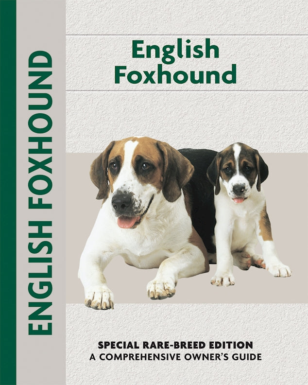 English Foxhound