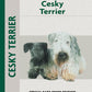 Cesky Terrier