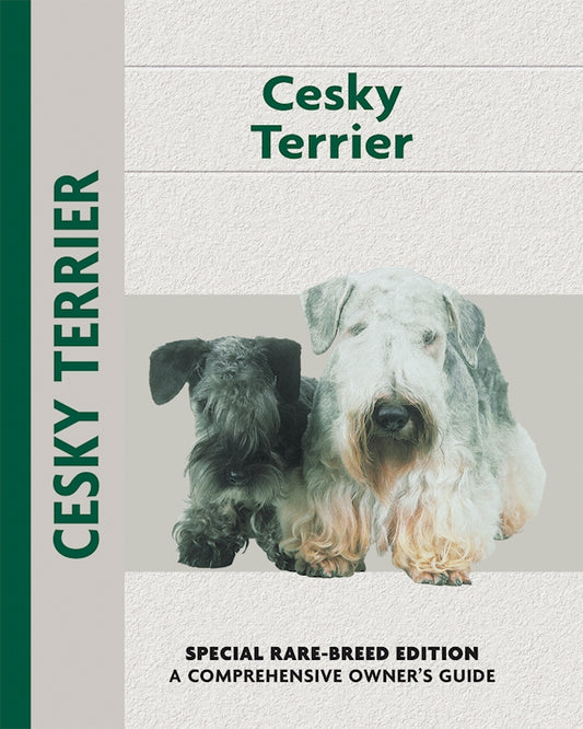 Cesky Terrier