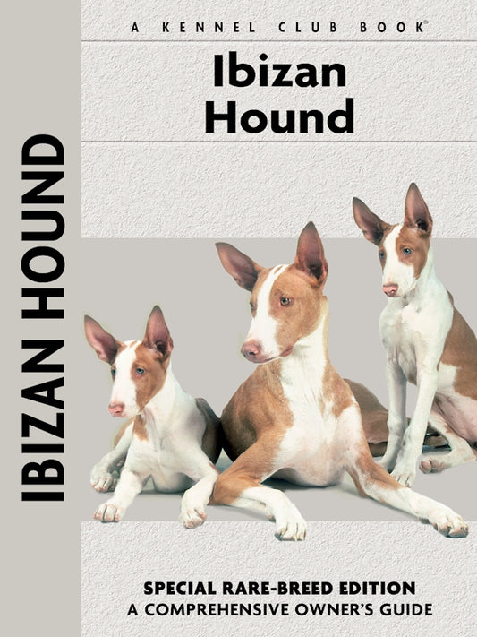 Ibizan Hound