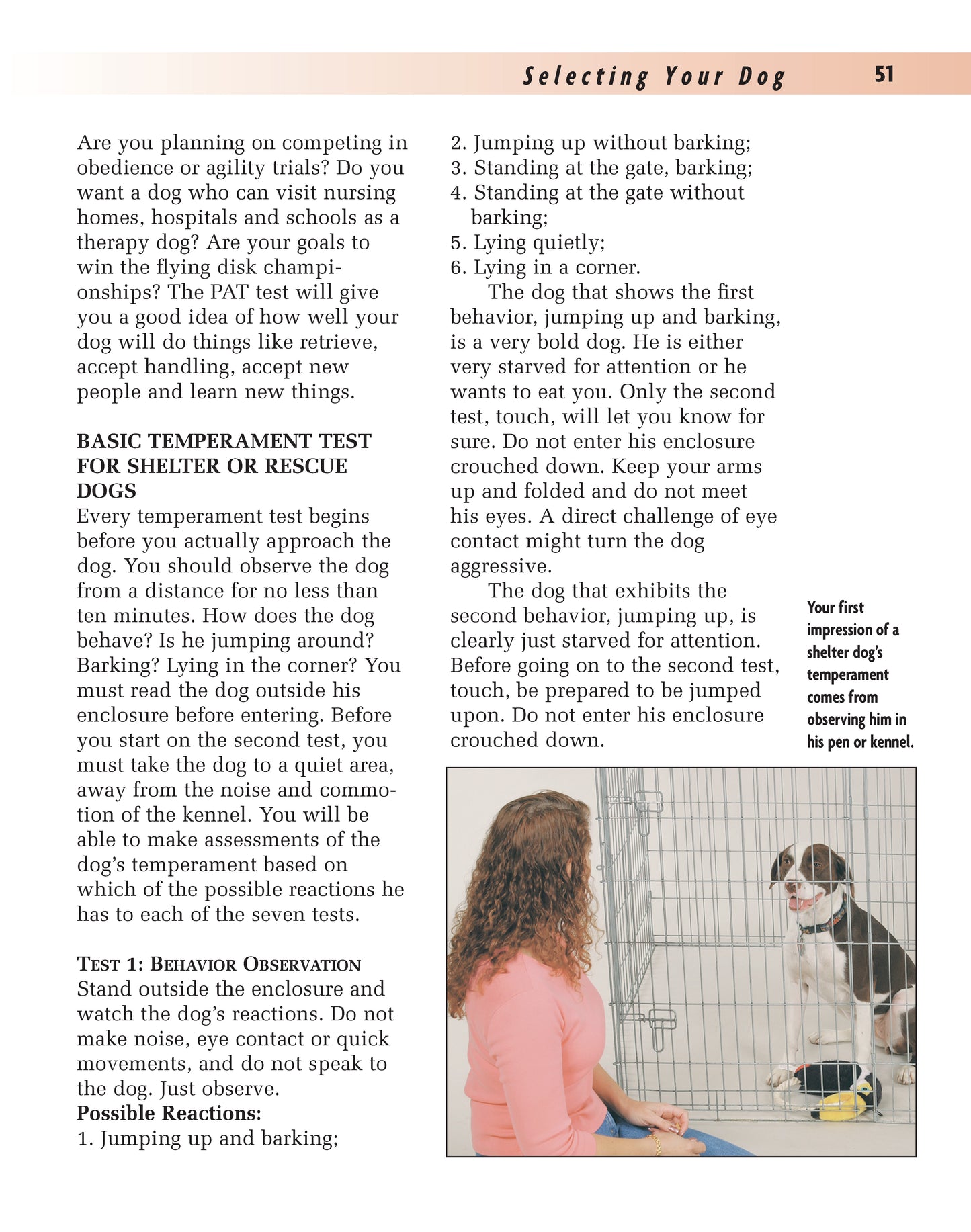 Training Your Mixed Breed