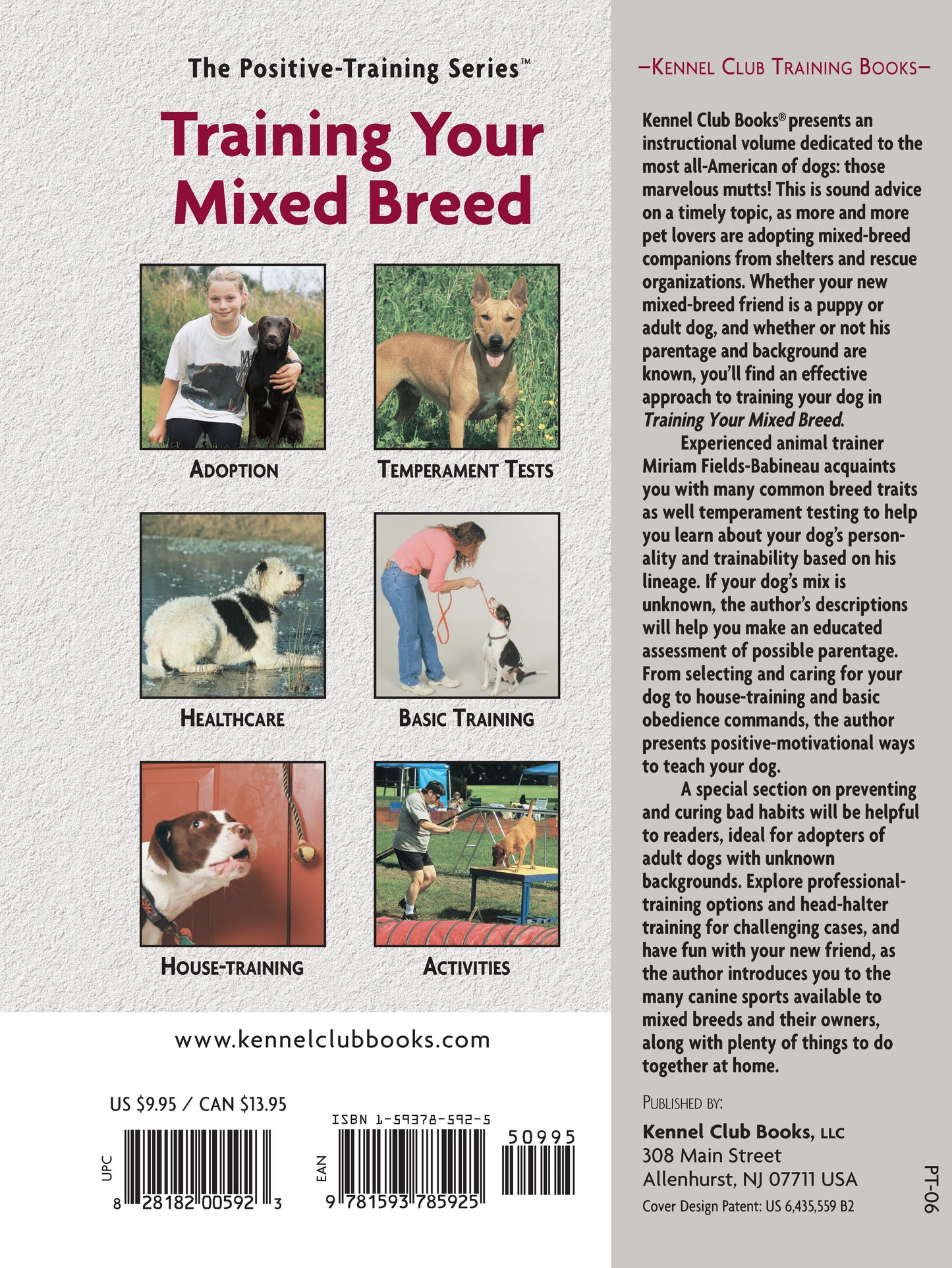 Training Your Mixed Breed