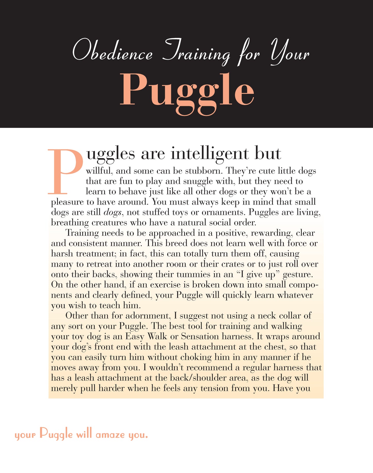 Puggle