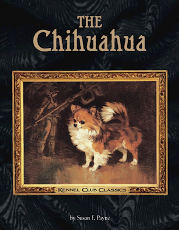 The Chihuahua