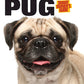 Pug