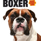 Boxer