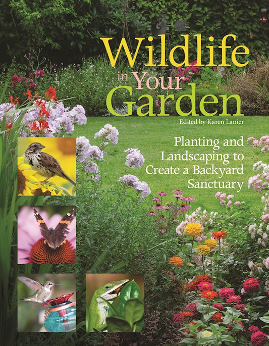 Wildlife in Your Garden