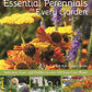 Essential Perennials for Every Garden