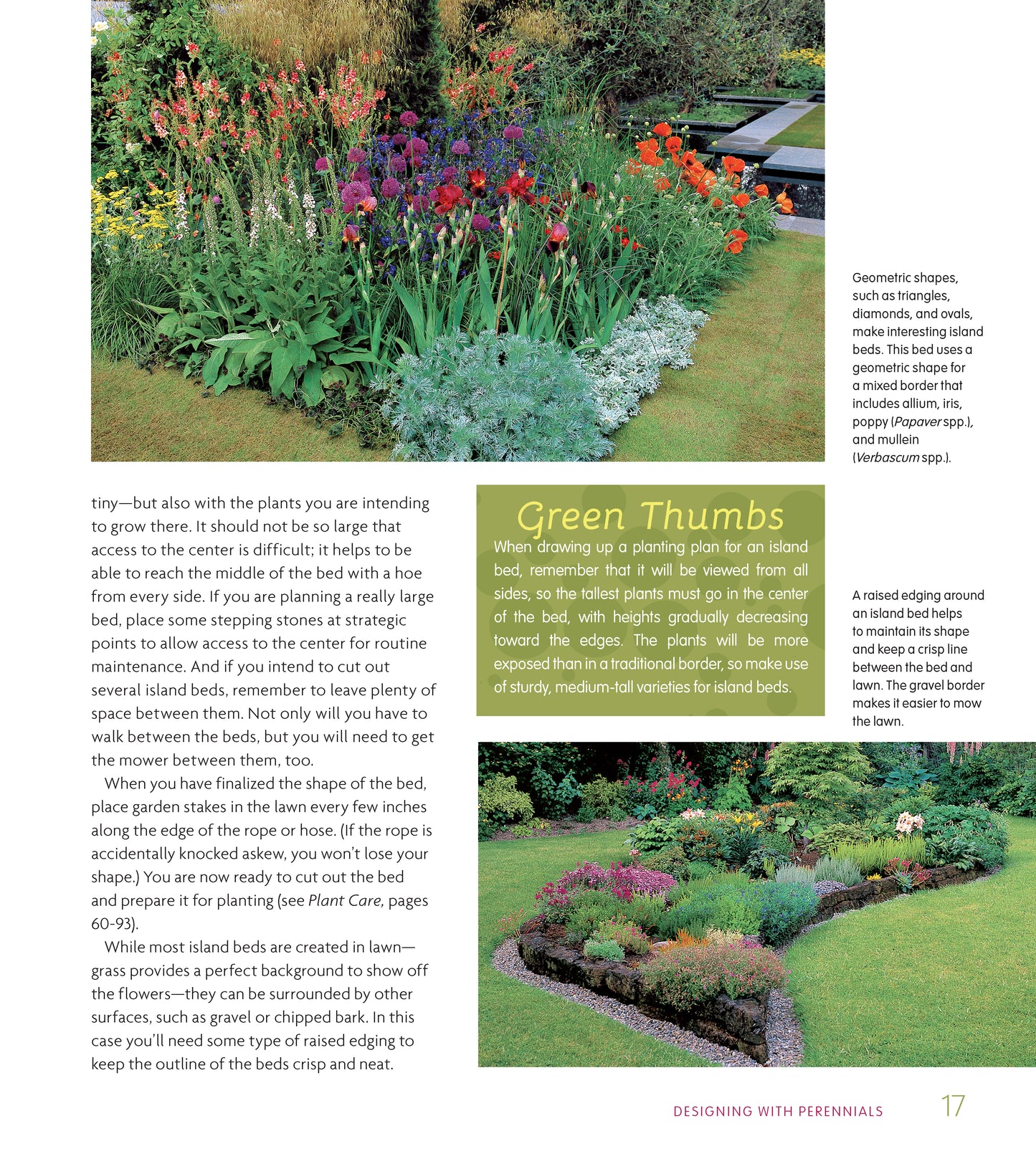 Essential Perennials for Every Garden