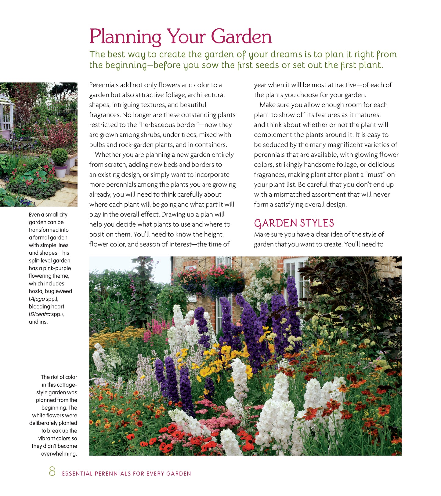 Essential Perennials for Every Garden