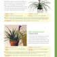 Houseplant Handbook