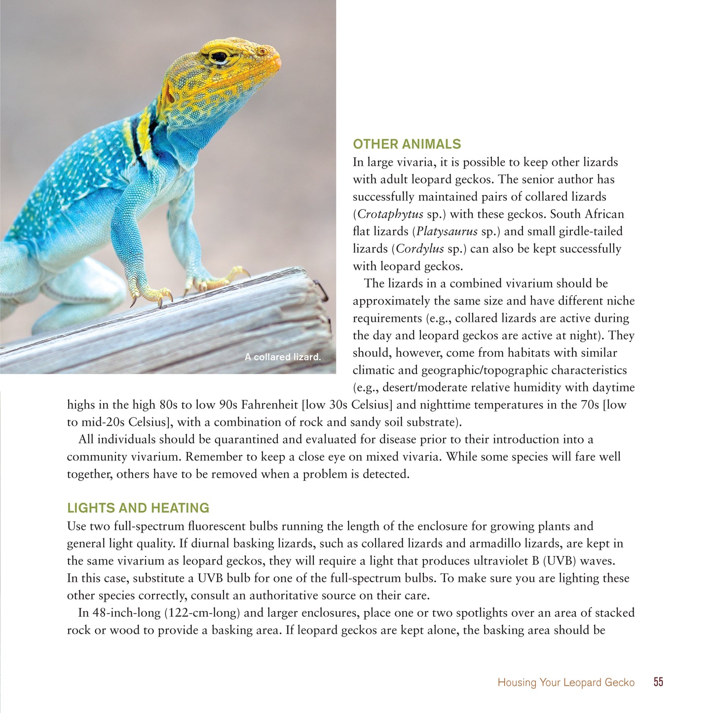 The Leopard Gecko Manual