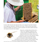 Honey Bee Hobbyist, 2nd Edition