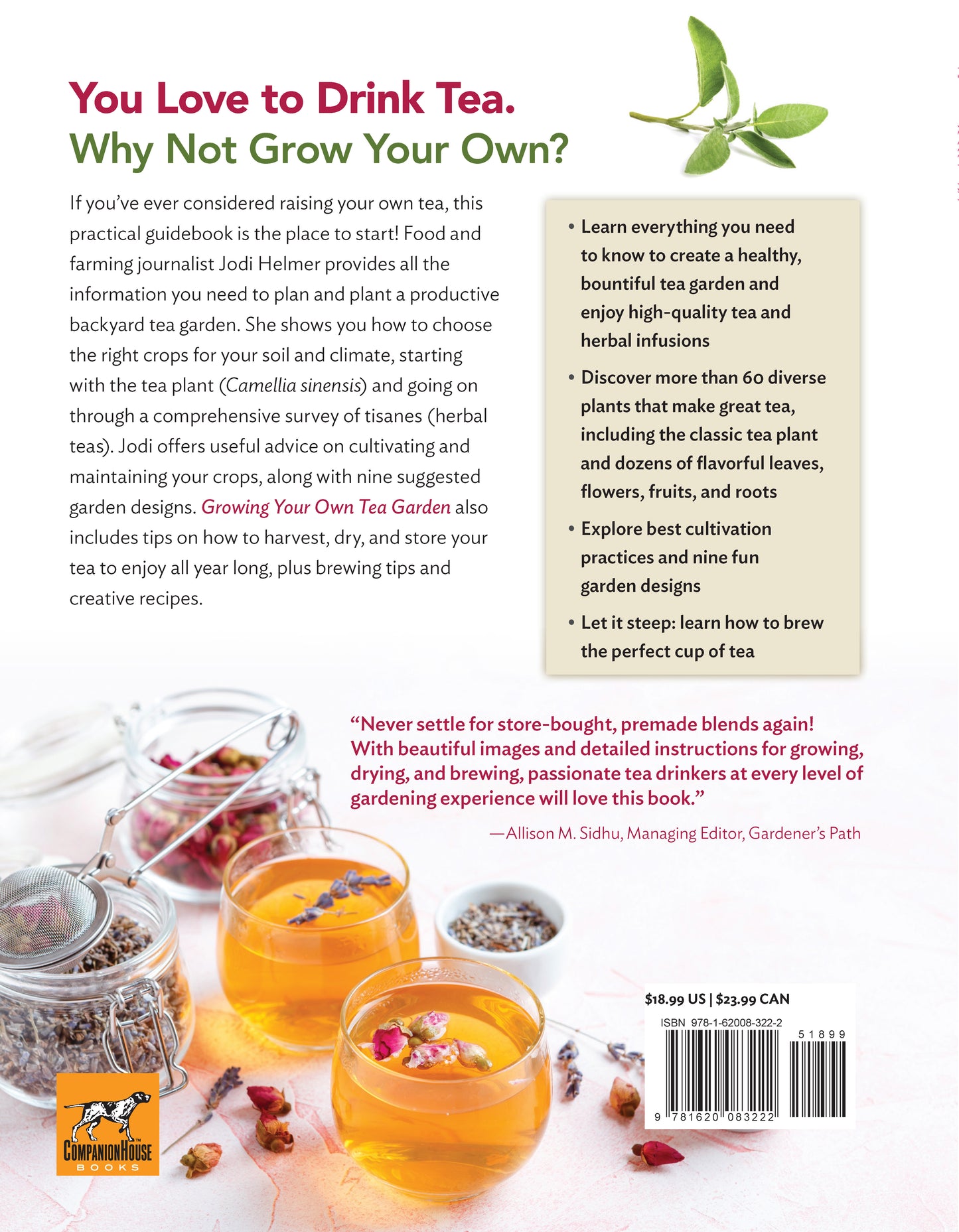 Growing Your Own Tea Garden