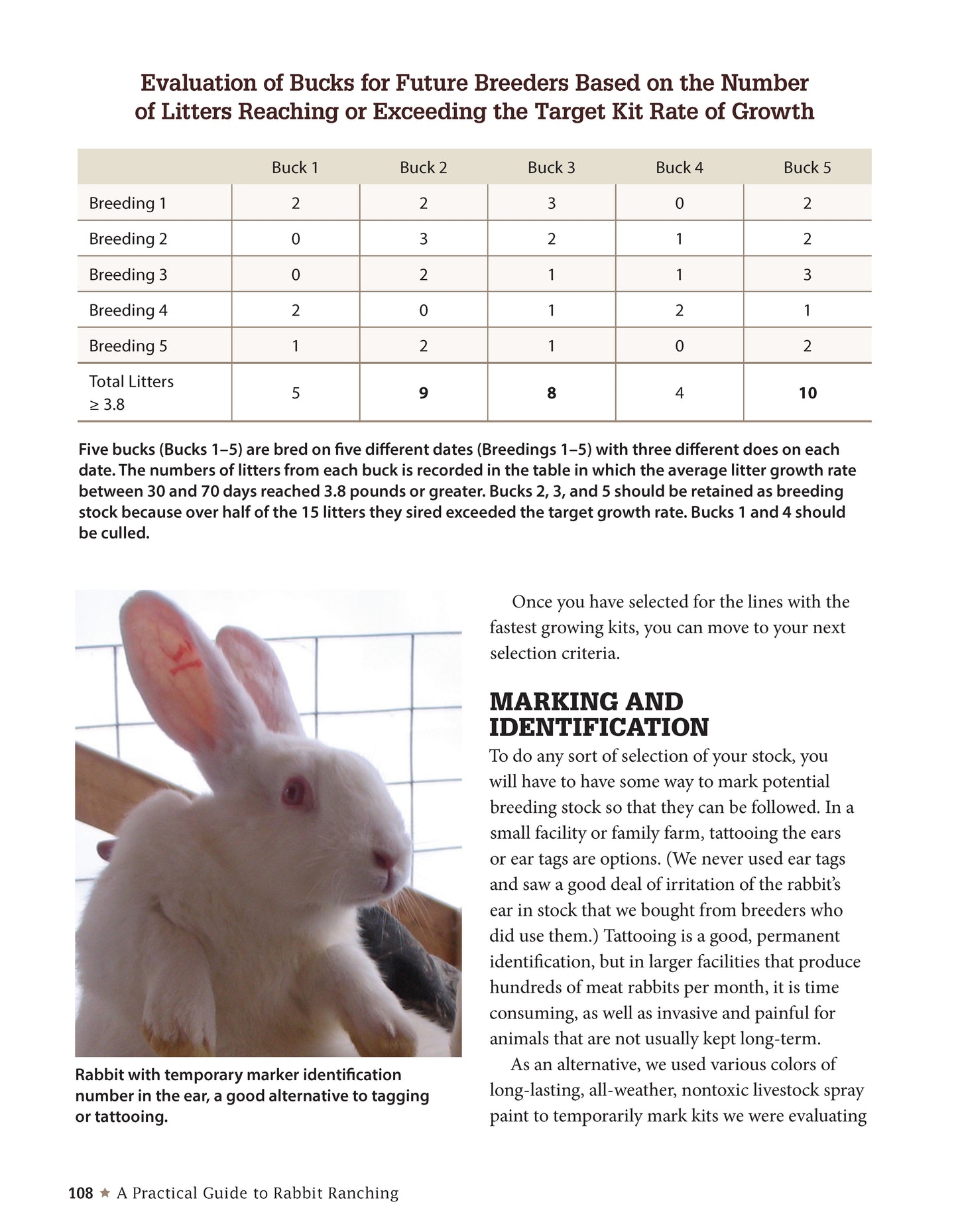 A Practical Guide to Rabbit Ranching