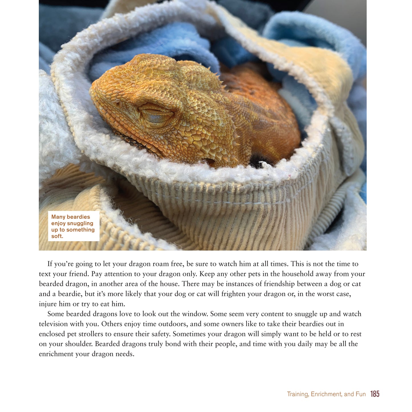 Bearded Dragon Manual, 3rd Edition