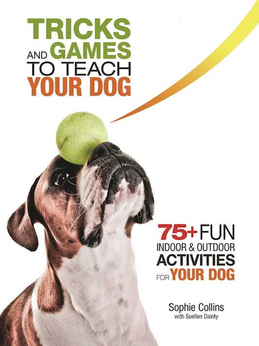 Tricks and Games to Teach Your Dog