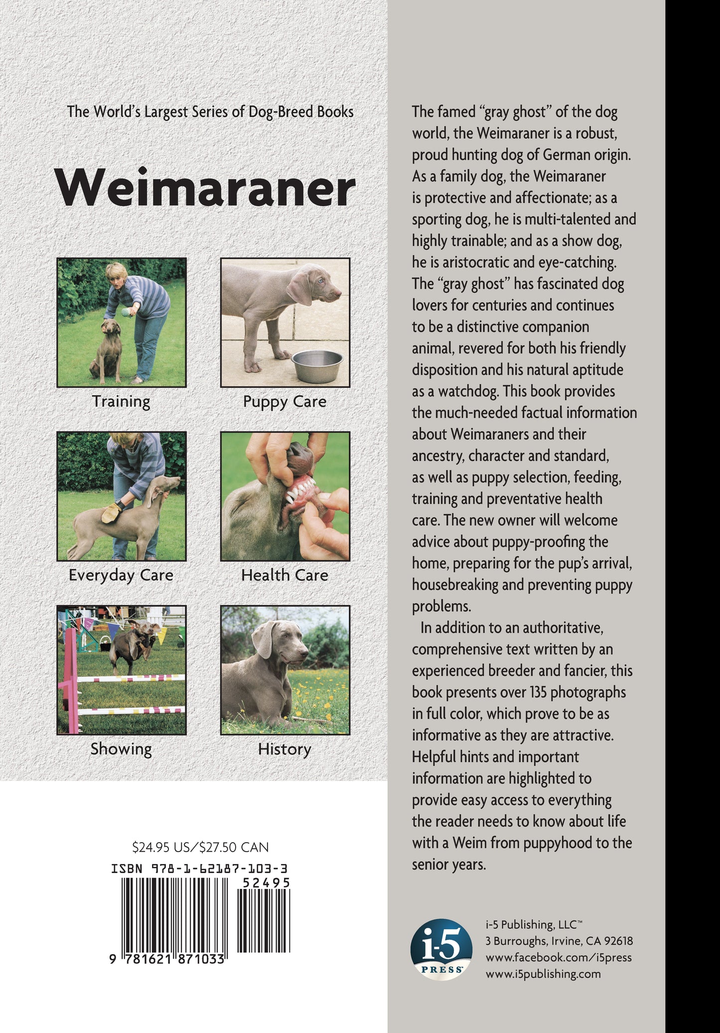 Weimaraner