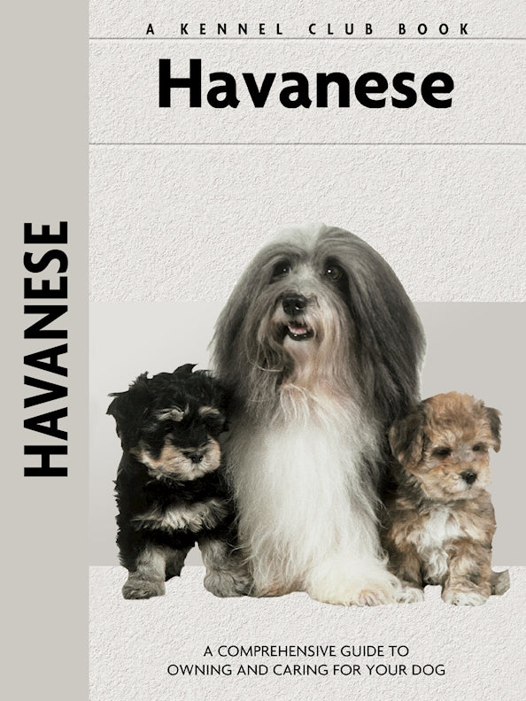 Havanese