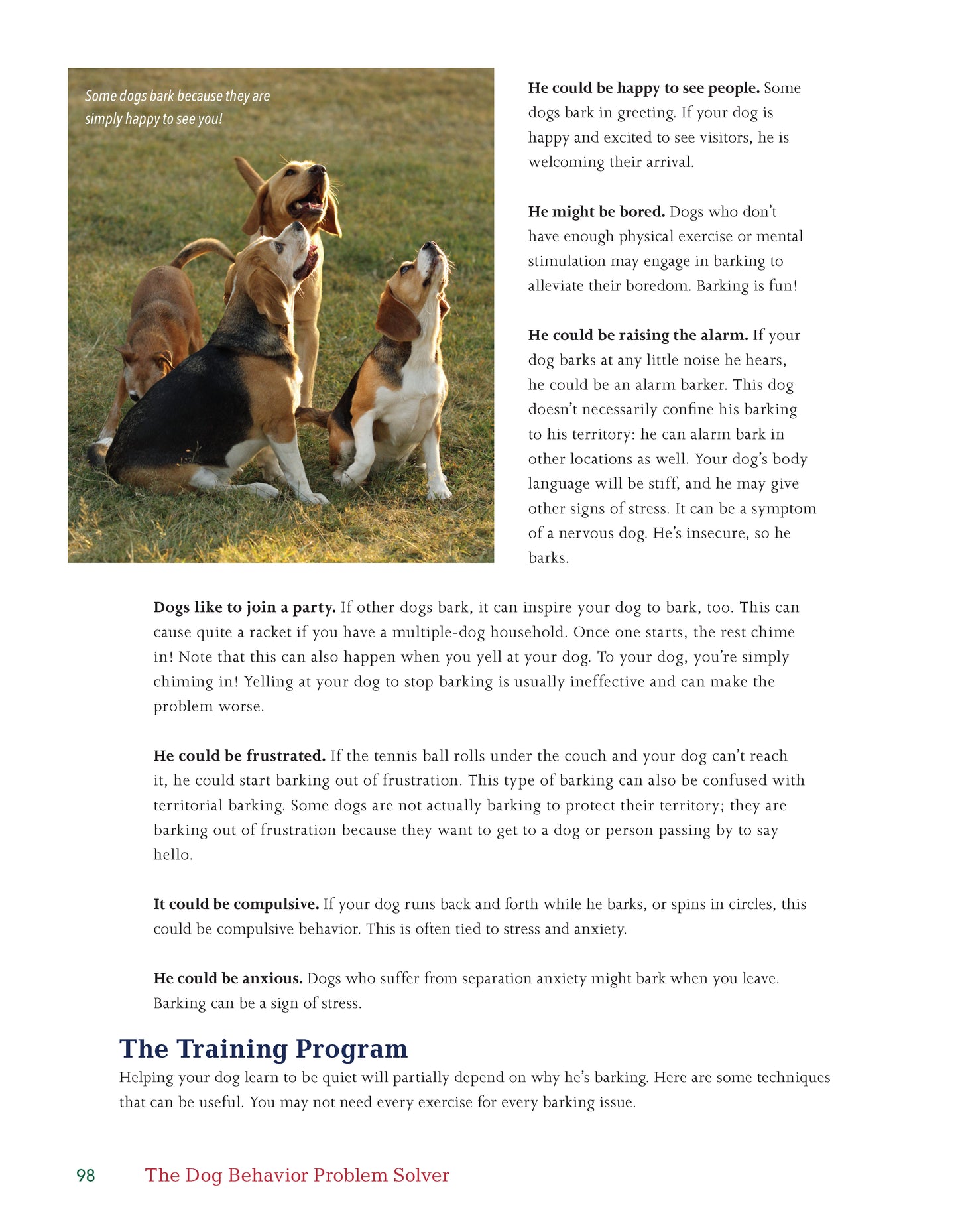 The Dog Behavior Problem Solver