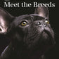 Meet the Breeds