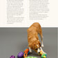 Fun & Games for a Smarter Dog