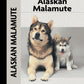 Alaskan Malamute (Comprehensive Owner's Guide)