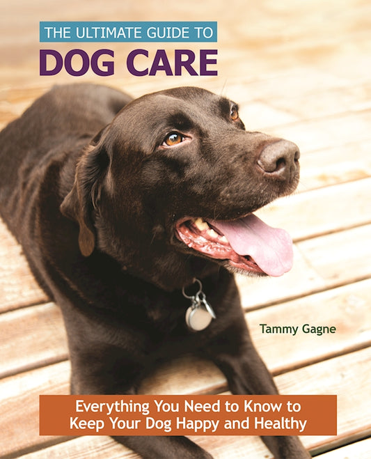 The Ultimate Guide to Dog Care