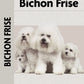 Bichon Frise (Comprehensive Owner's Guide)