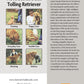 Nova Scotia Duck Tolling Retriever (Comprehensive Owner's Guide)