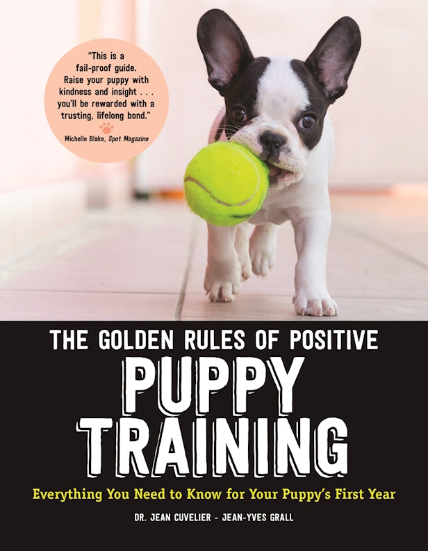 The Golden Rules of Positive Puppy Training