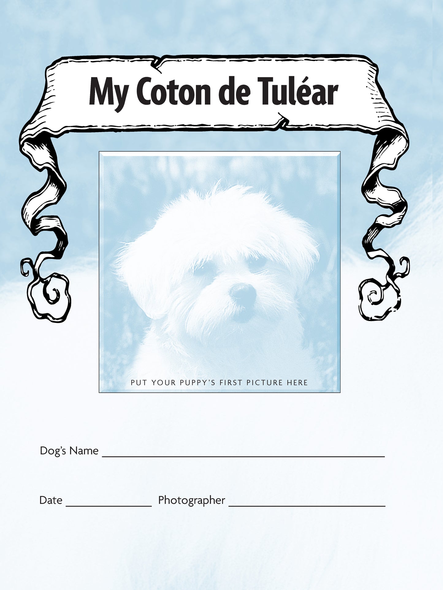 Coton De Tulear