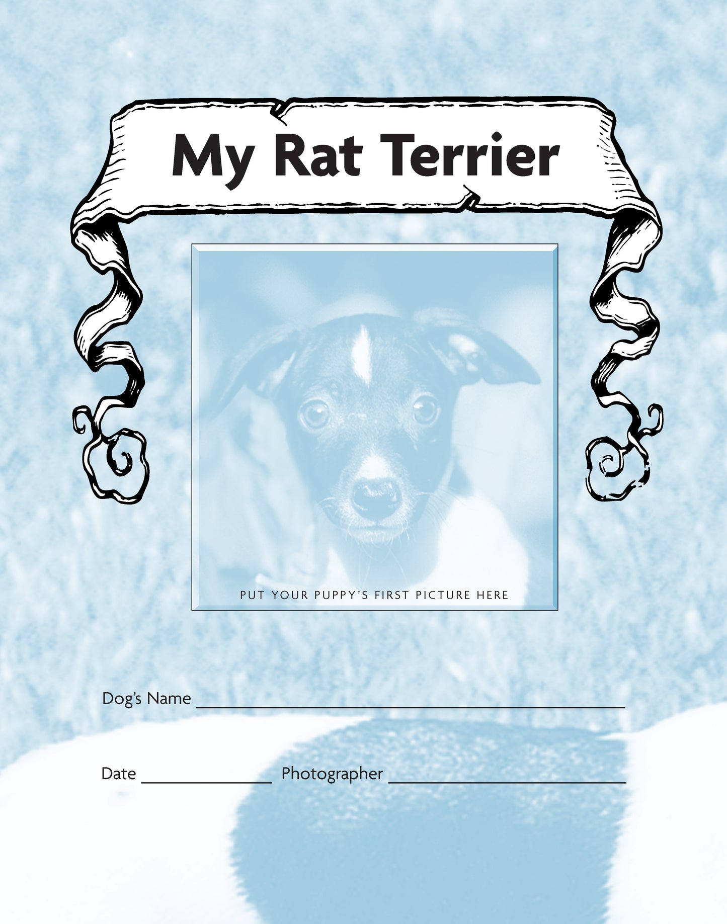 Rat Terrier (PB)