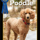 Poodle