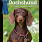 Dachshund