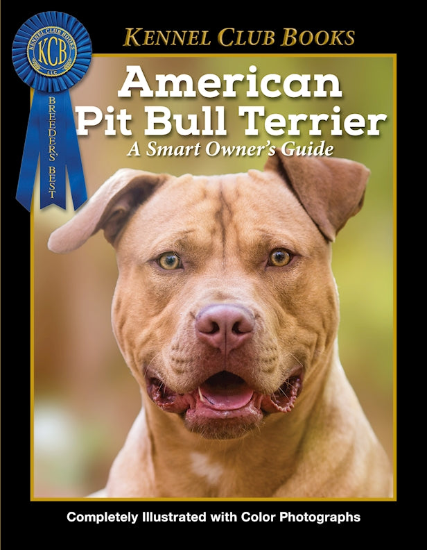 American Pit Bull Terrier