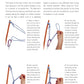 Pocket Guide to Knots