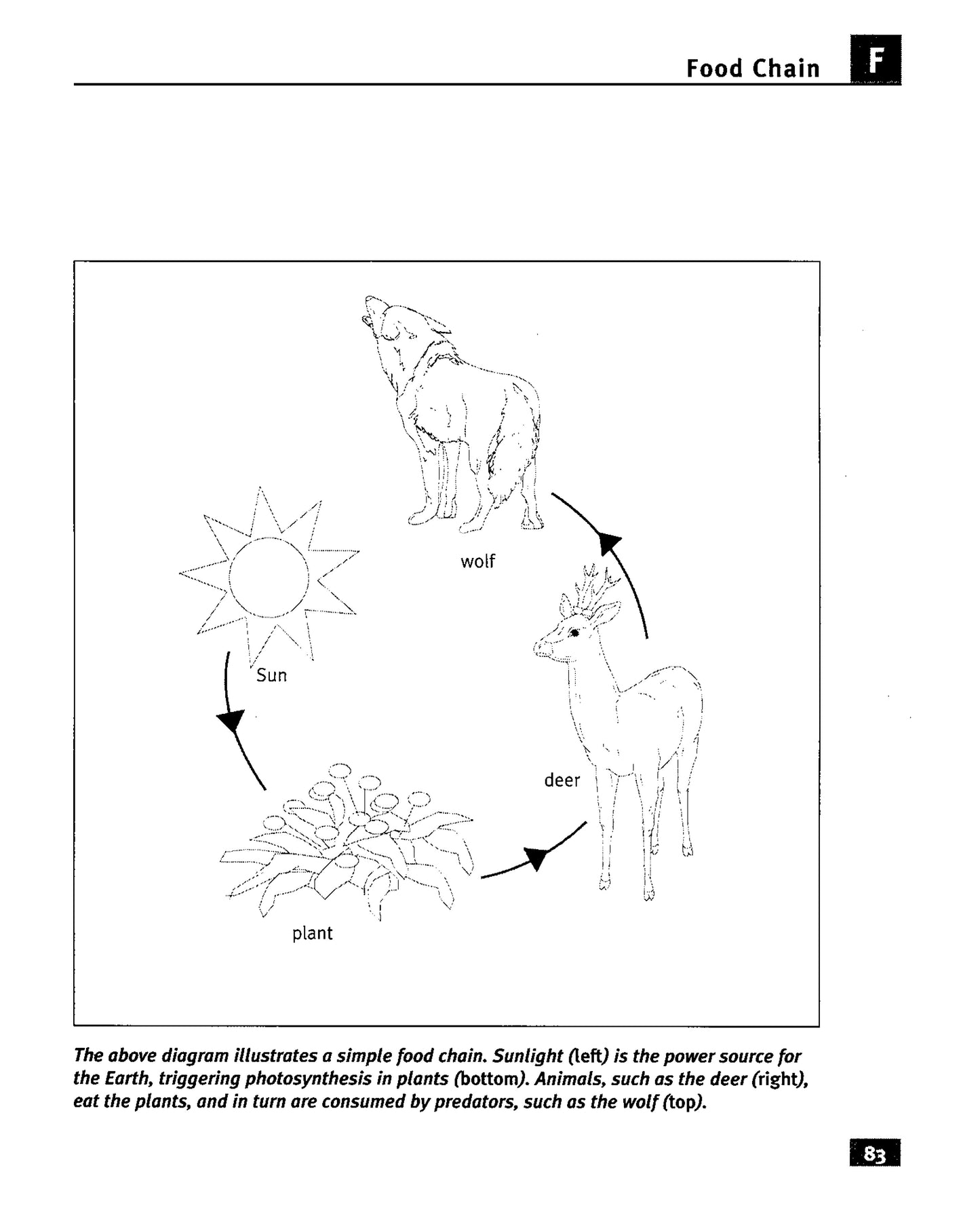 Little Book of Environmental Principles