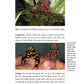 Popular Amphibians