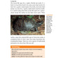 The Box Turtle Manual