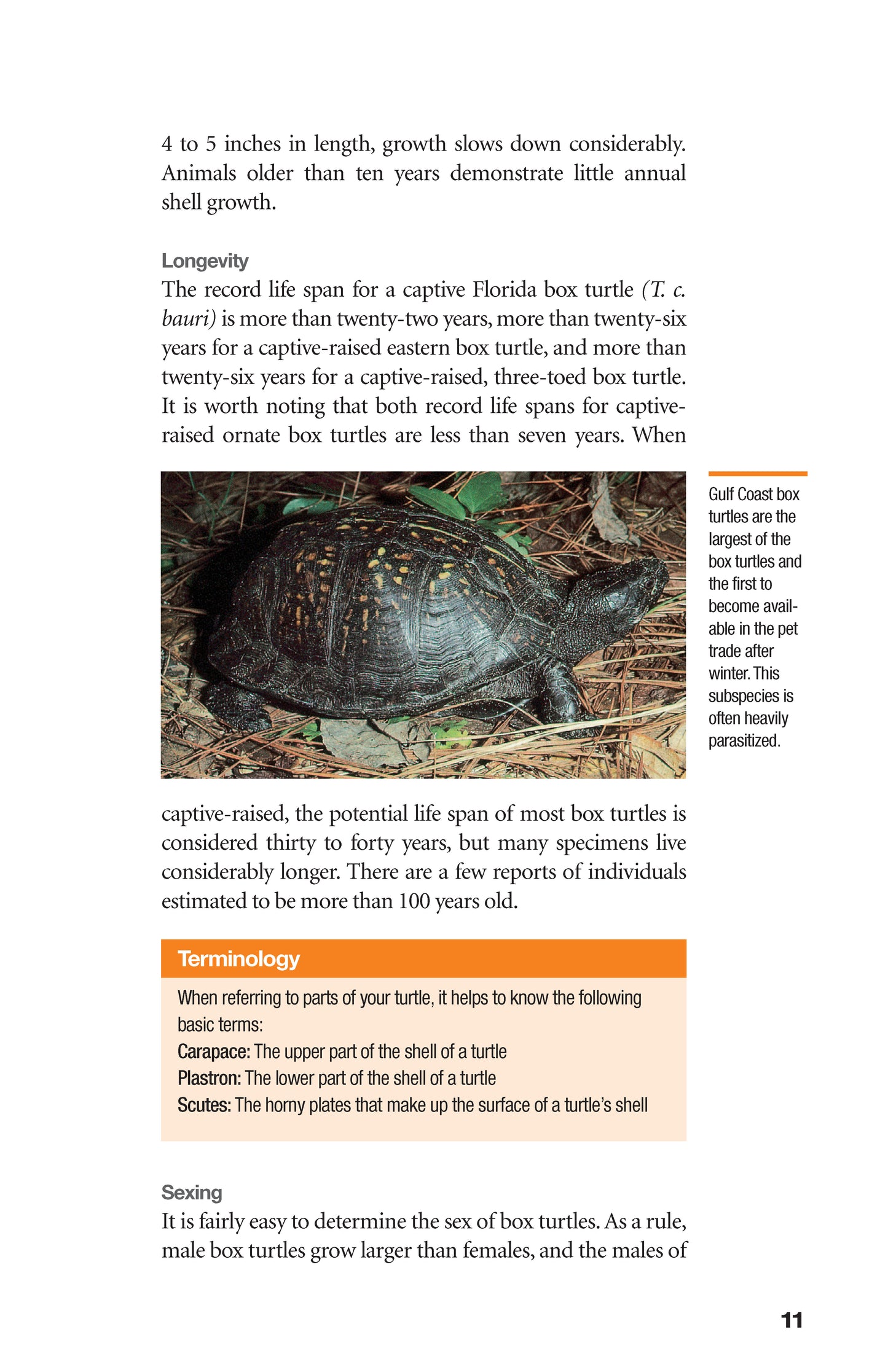 The Box Turtle Manual