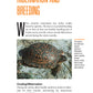 The Box Turtle Manual