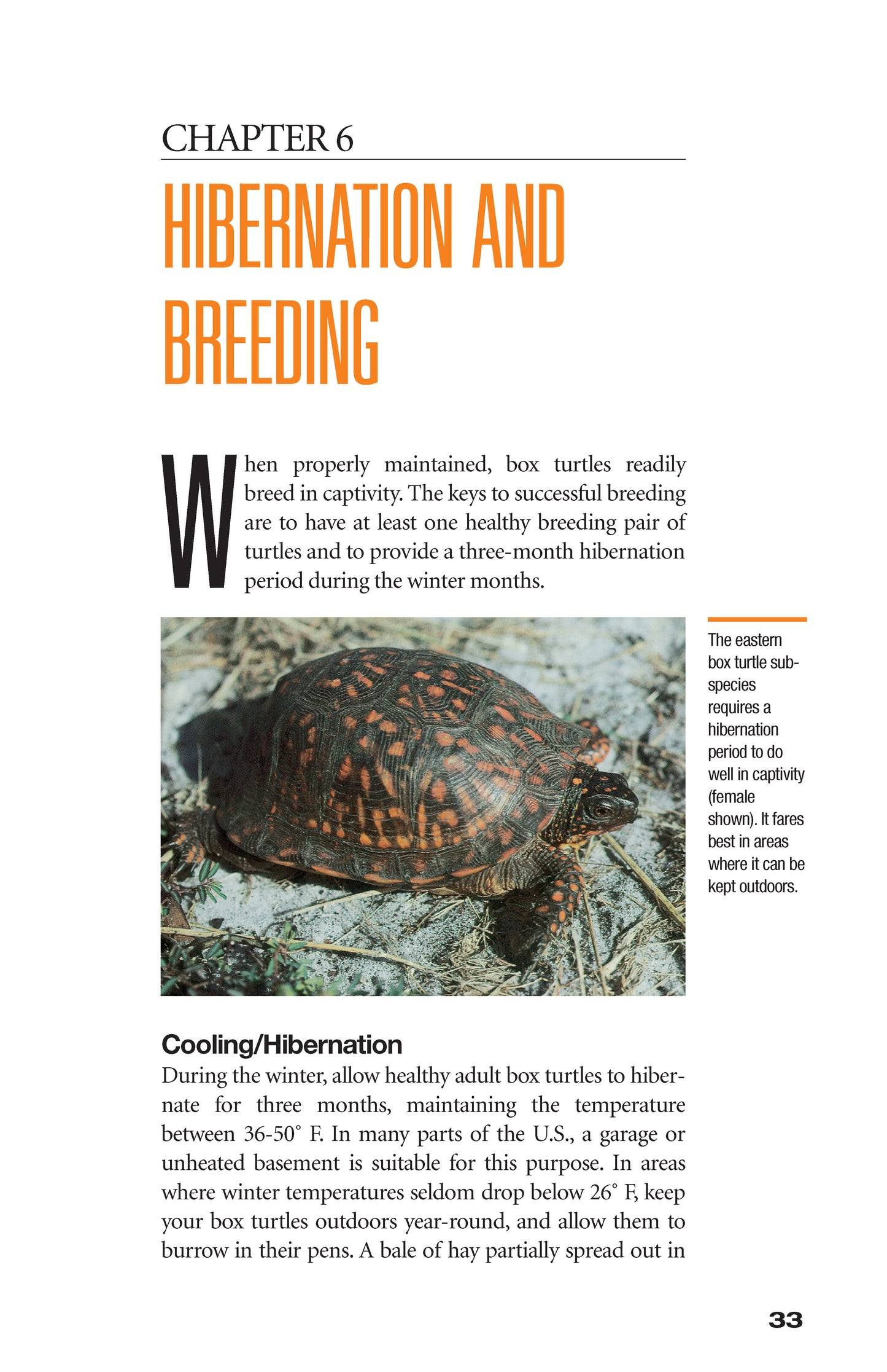 The Box Turtle Manual