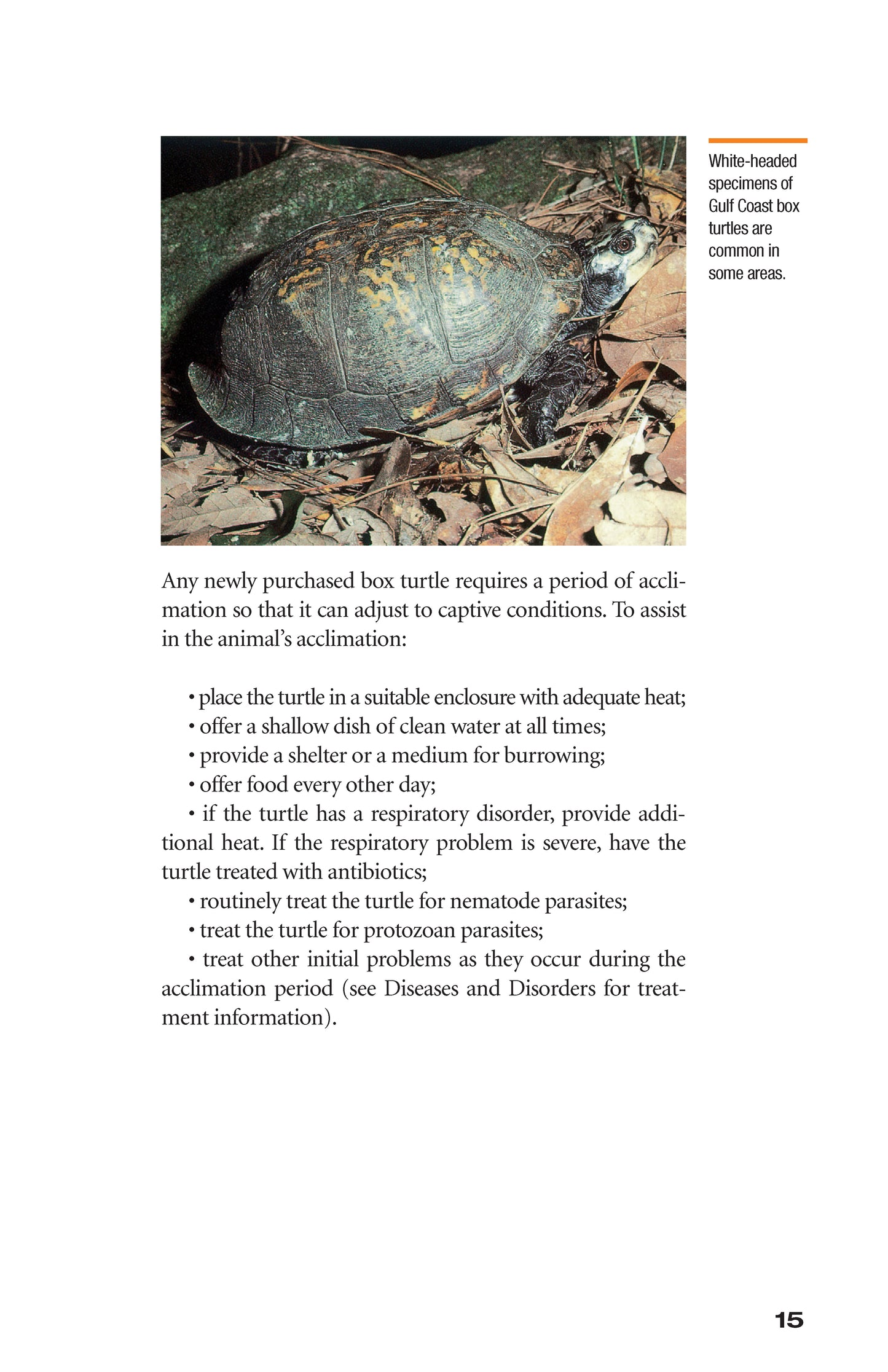 The Box Turtle Manual