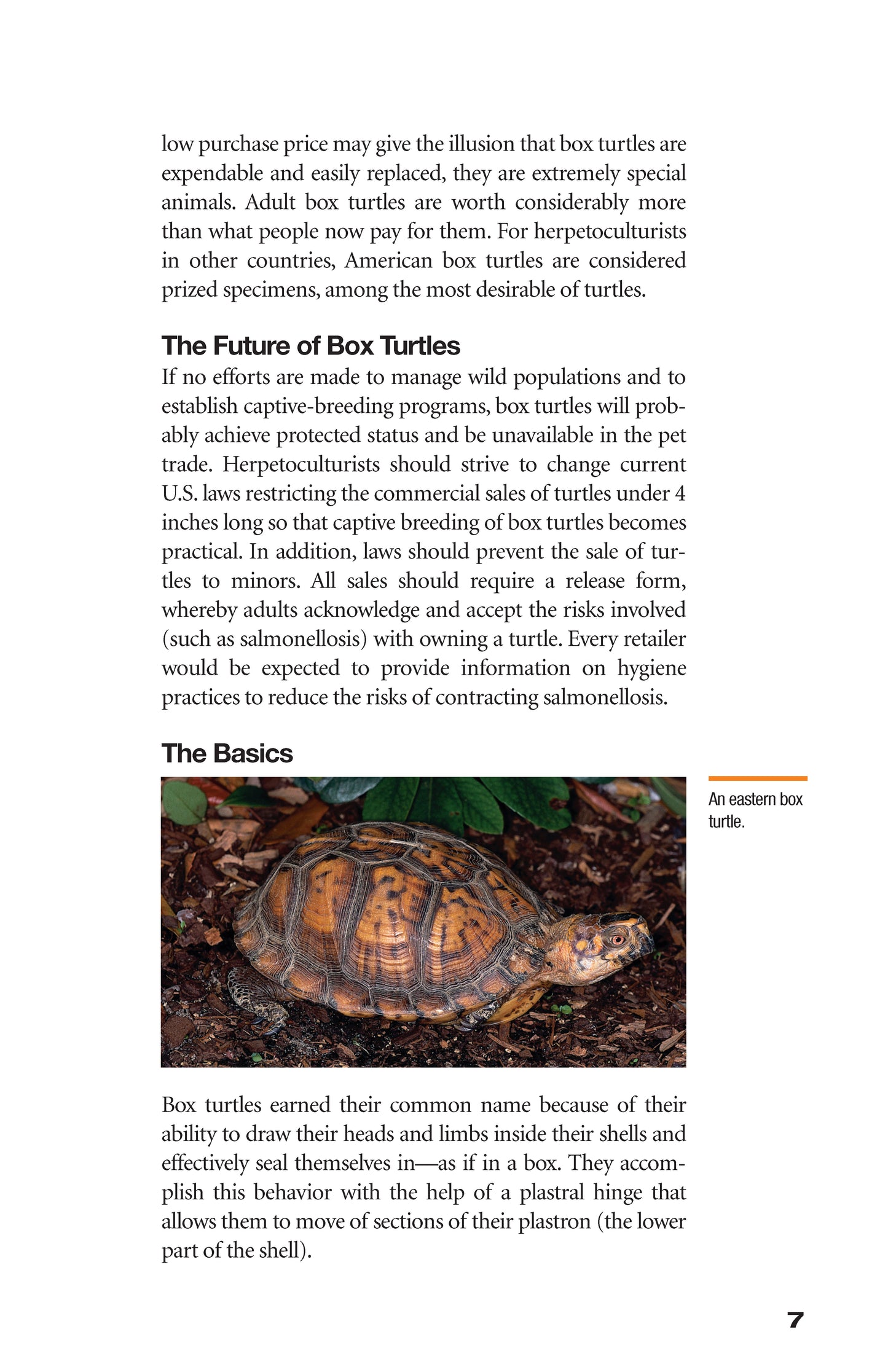 The Box Turtle Manual